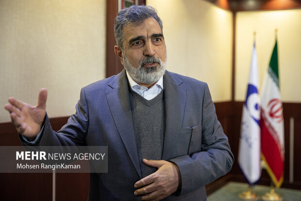 کمالوندی: تا زمانی که قوی باشیم می‌توانیم حقوقمان را در جهان حفظ کنیم
